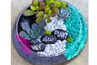 Plant Nite: YAY, Let's Plant in Lily Bowl